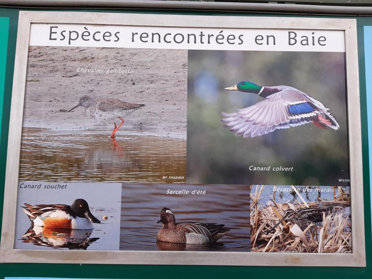 Les Obiones, Vue Laterale Mer, Fort Mahon Plage, Magnifique Studio Cabine 4P, Avec Balcon , Parking Prive Gratuit, Wifi, Classe 2 Etoiles, Exposition Plein Sud En Baie De Somme Екстериор снимка