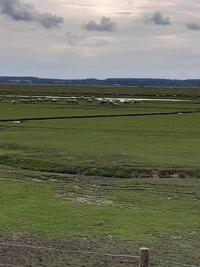 Les Obiones, Vue Laterale Mer, Fort Mahon Plage, Magnifique Studio Cabine 4P, Avec Balcon , Parking Prive Gratuit, Wifi, Classe 2 Etoiles, Exposition Plein Sud En Baie De Somme Екстериор снимка