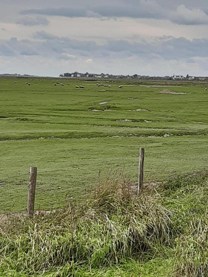Les Obiones, Vue Laterale Mer, Fort Mahon Plage, Magnifique Studio Cabine 4P, Avec Balcon , Parking Prive Gratuit, Wifi, Classe 2 Etoiles, Exposition Plein Sud En Baie De Somme Екстериор снимка
